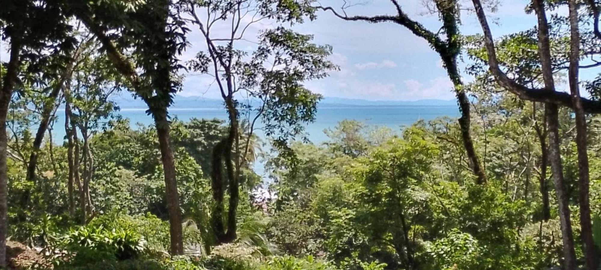 فندق Ocean View Modern Dreamhouse بافونيس المظهر الخارجي الصورة